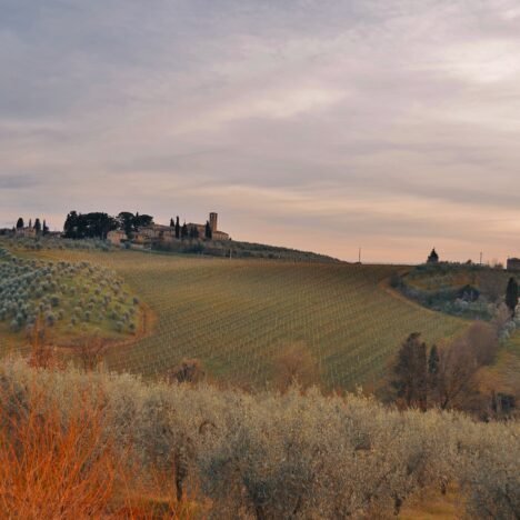 Paisagem da Toscana com vinhedos e oliveiras na região de Florença, Itália